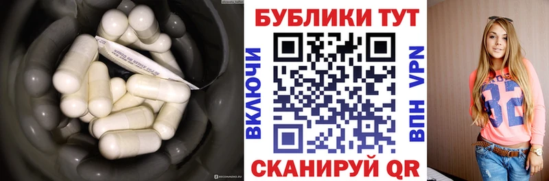 ЭКСТАЗИ бентли Полярный