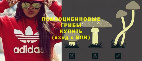 ECSTASY Покачи