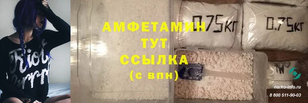 ECSTASY Покачи
