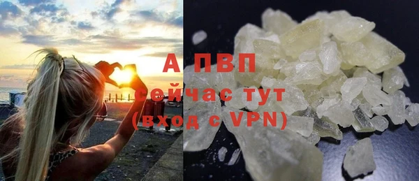 ECSTASY Покачи
