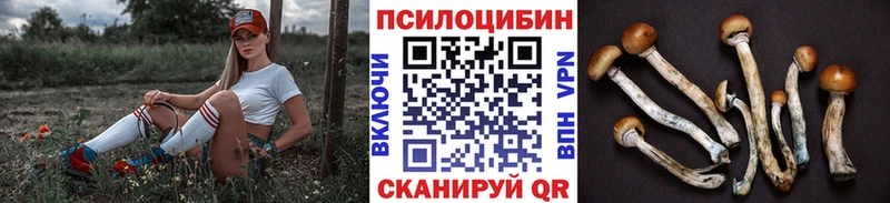 Галлюциногенные грибы прущие грибы  Полярный 